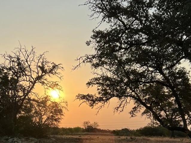Land for sale in Castroville, Medina County