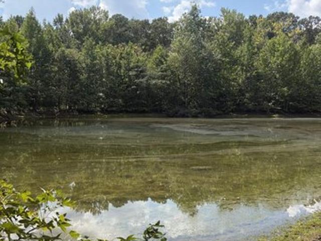 Land for sale in Clanton, Alabama