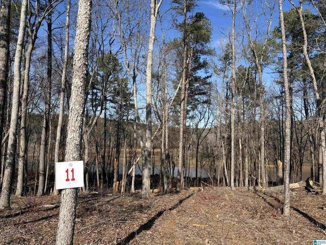 Land for sale in Woodland, Alabama