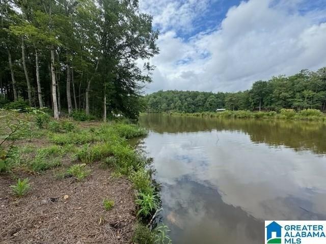 Land for sale in Woodland, Alabama