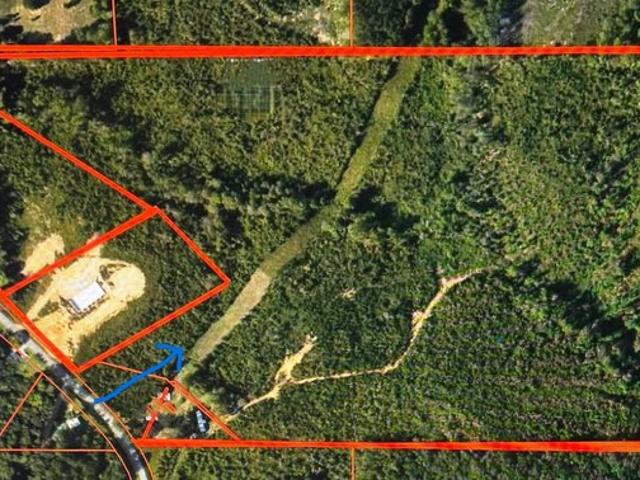 Land for sale in Muscadine, Alabama