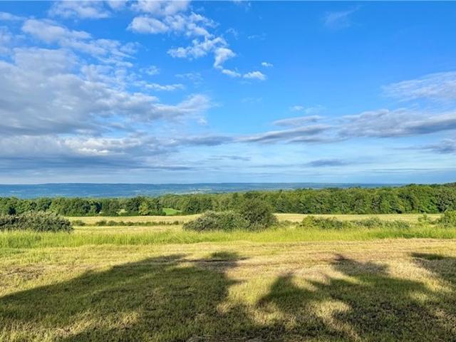Farm for sale in Alpine, New York