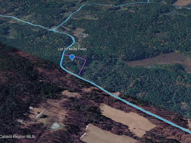 Land for sale in Town of New Baltimore, Greene County