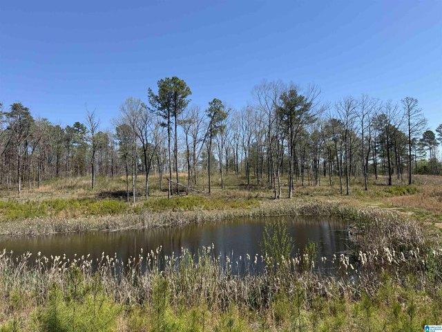 Land for sale in Westover, Alabama