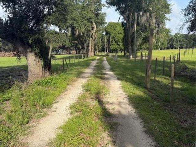Land for sale in Sumterville, Florida