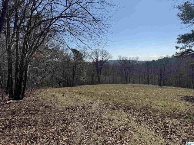 Land for sale in Flat Rock, Alabama