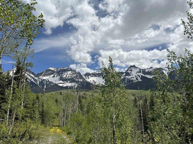 Farm for sale in Ridgway, Colorado