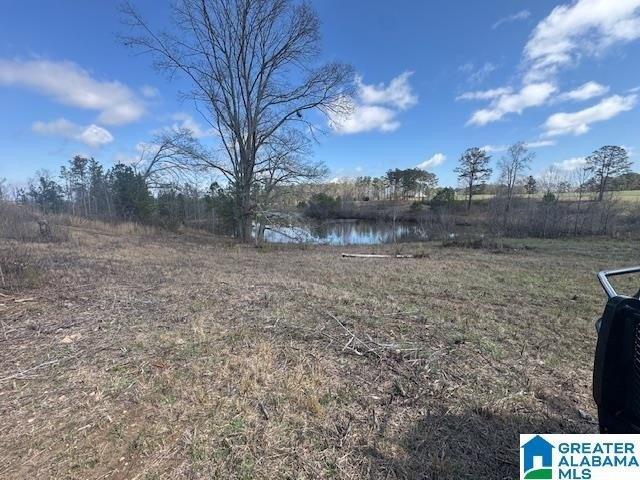 Land for sale in Wedowee, Alabama