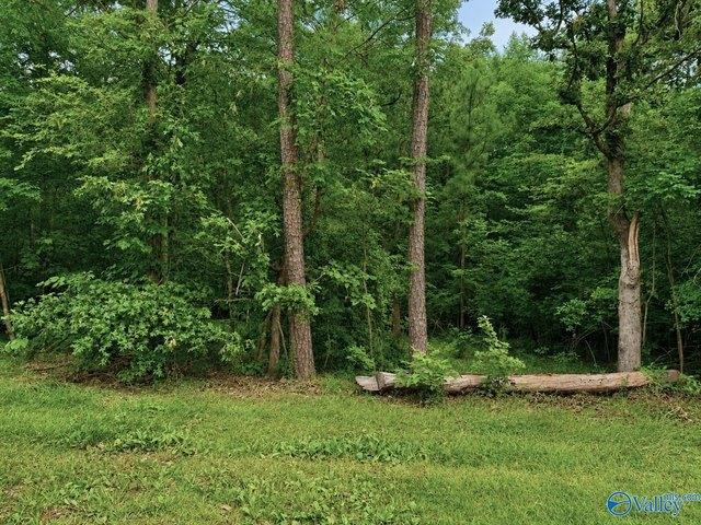 Land for sale in Cedar Bluff, Alabama