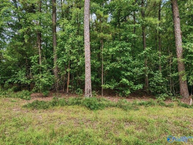 Land for sale in Cedar Bluff, Alabama