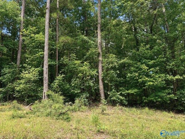 Land for sale in Cedar Bluff, Alabama