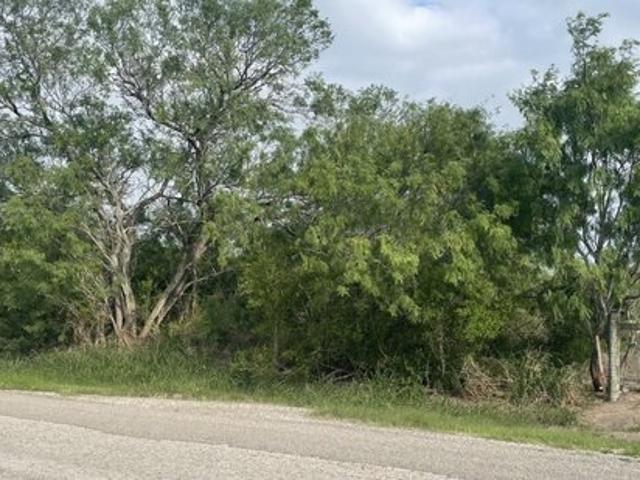 Land for sale in Bee, Texas