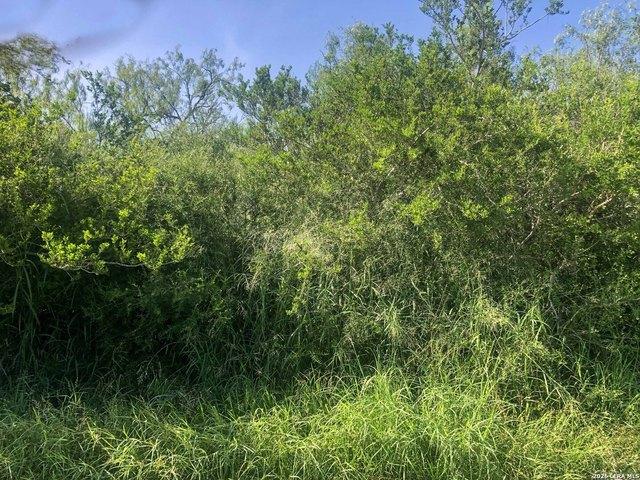 Land for sale in Bee, Texas