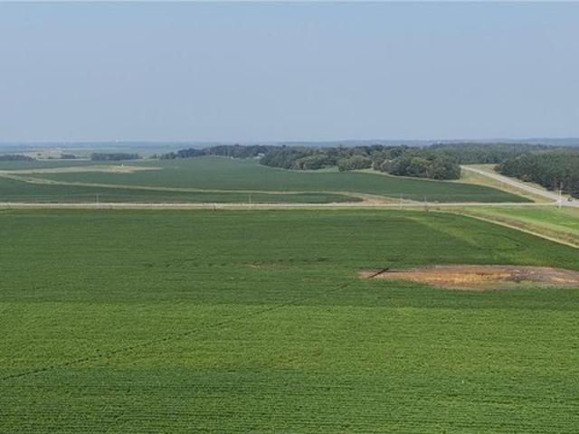 Land for sale in Todd, Minnesota