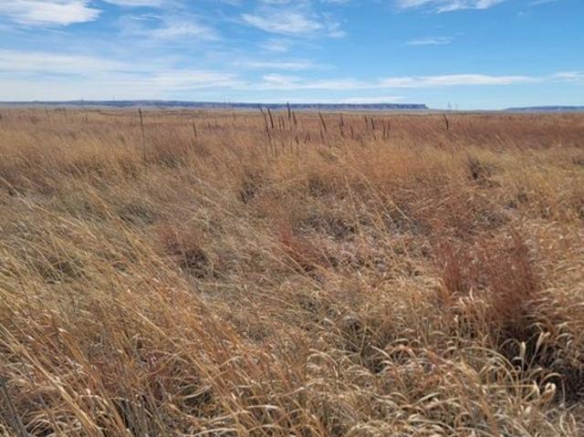 Land for sale in Wyoming