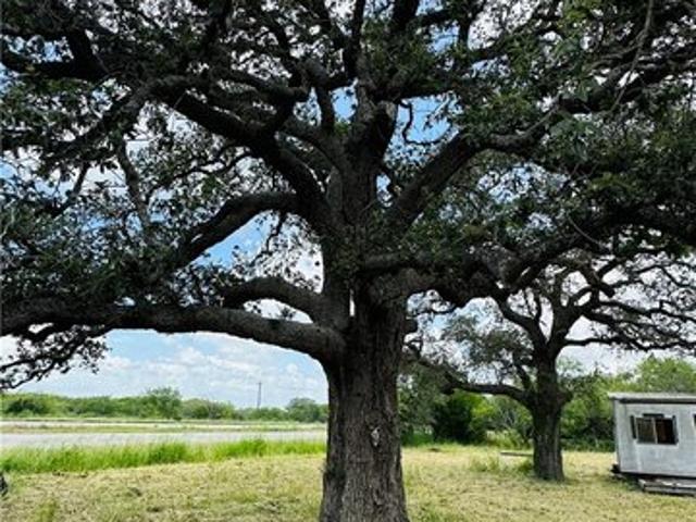 Land for sale in Bee, Texas