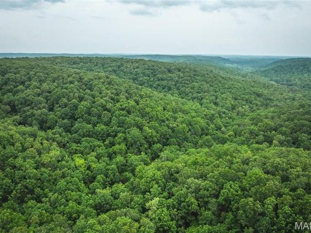 Land for sale in Jadwin, Missouri