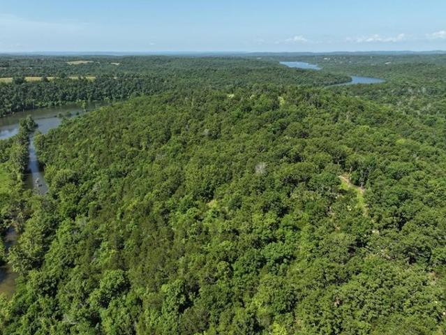 Land for sale in Gainesville, Missouri