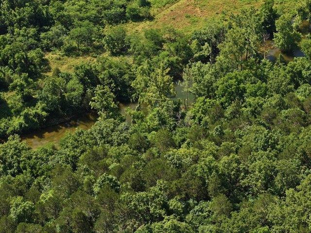 Land for sale in Gainesville, Missouri