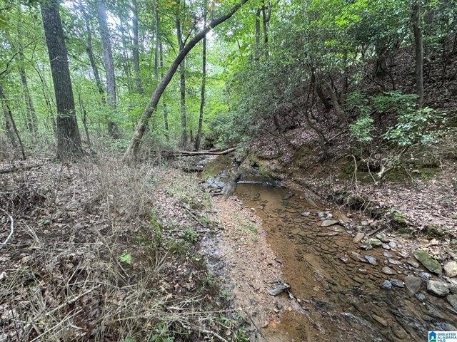 Land for sale in Roanoke, Alabama