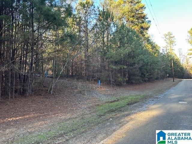 Land for sale in Clanton, Alabama