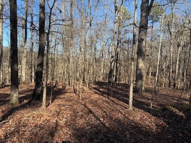 Land for sale in Valley Head, Alabama