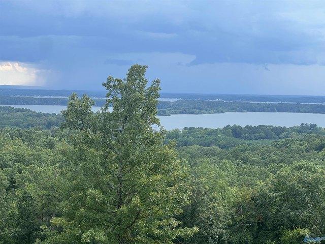 Land for sale in Cedar Bluff, Alabama