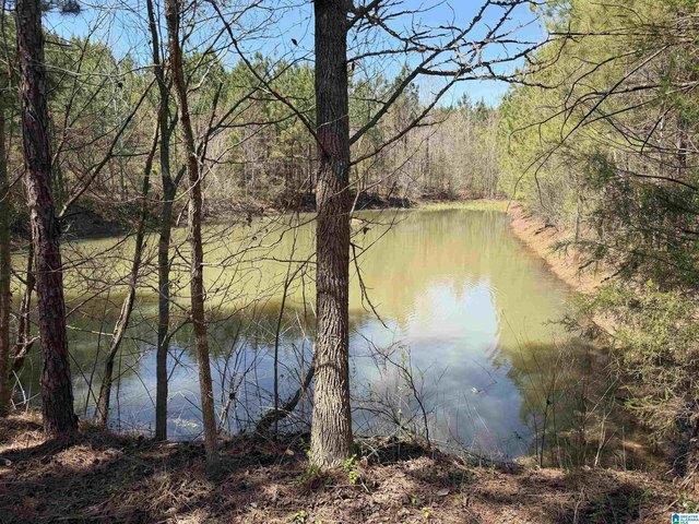 Land for sale in Wadley, Alabama
