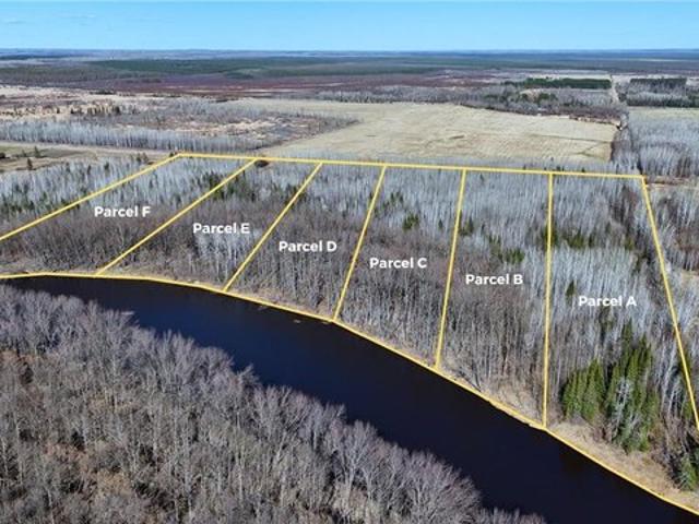 Land for sale in Littlefork, Minnesota