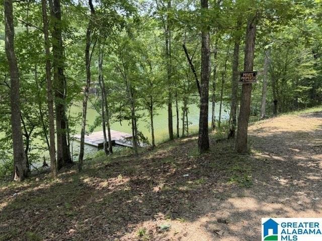 Land for sale in Wedowee, Alabama