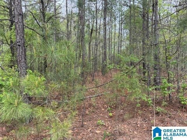 Land for sale in Wedowee, Alabama