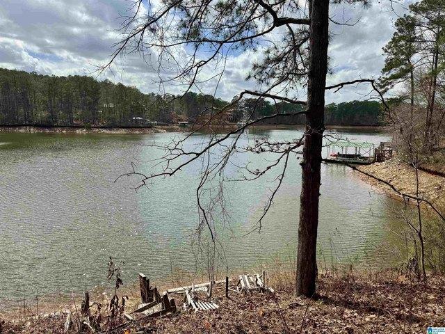Land for sale in Wedowee, Alabama