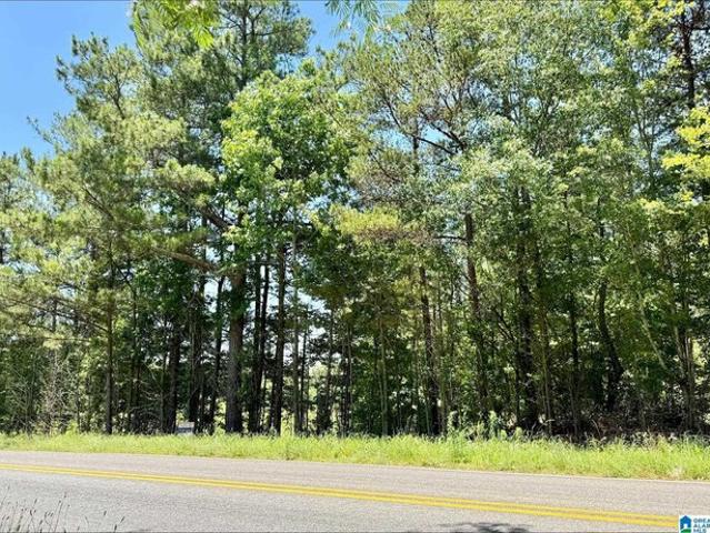 Land for sale in Wedowee, Alabama