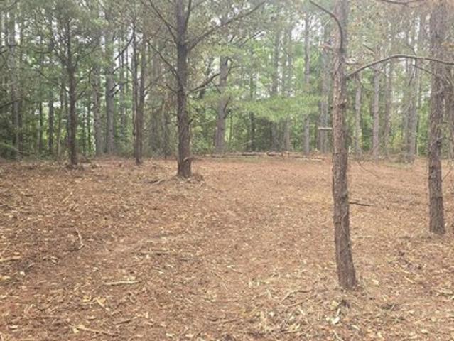 Land for sale in Lawley, Alabama