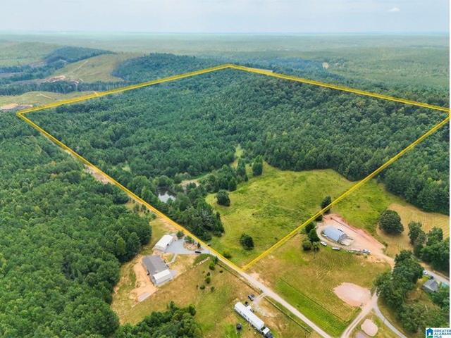 Land for sale in Clanton, Alabama
