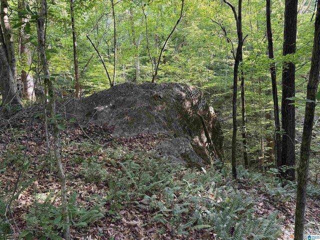 Land for sale in Roanoke, Alabama