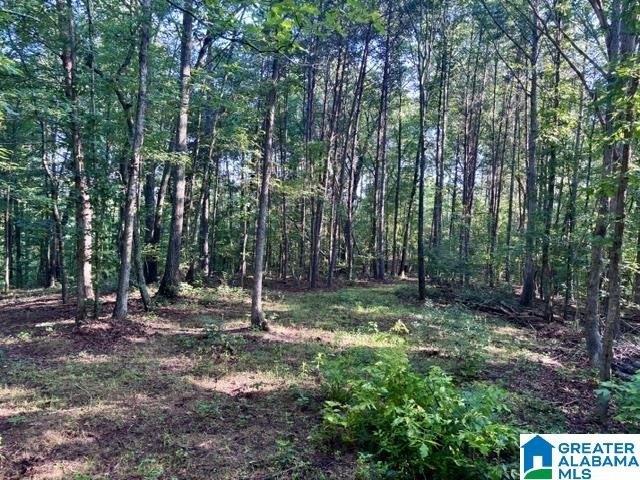 Land for sale in Alabama