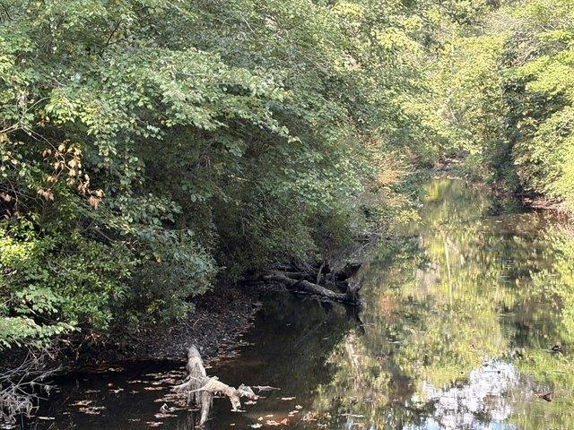 Land for sale in Mentone, Alabama