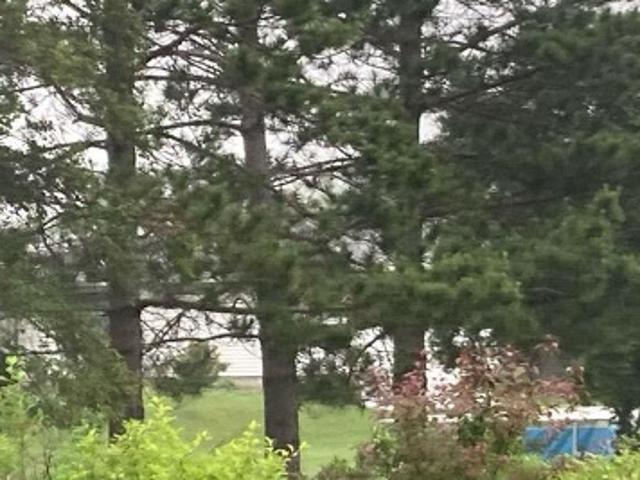 House for sale in Todd, Minnesota