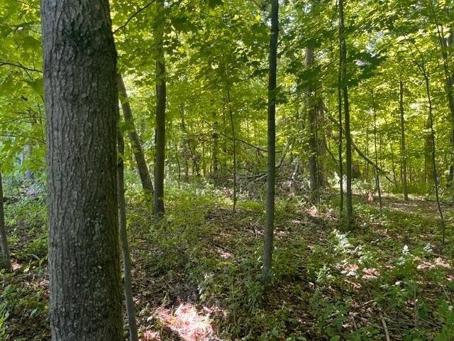 Land for sale in Saint Croix, Wisconsin