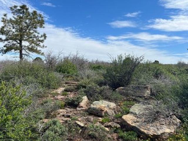 Land for sale in Dove Creek, Colorado