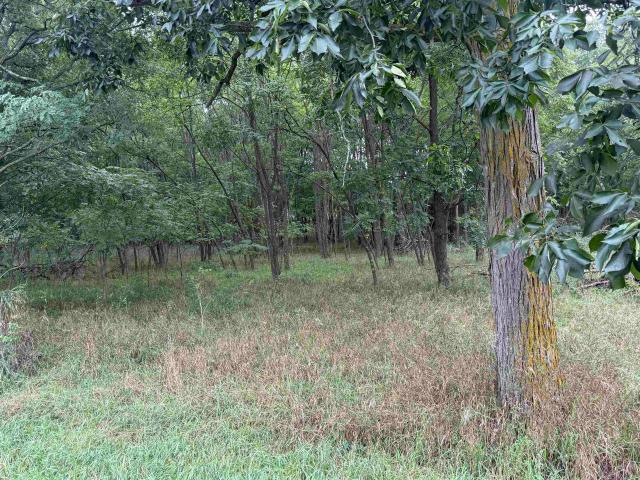 Land for sale in Wisconsin