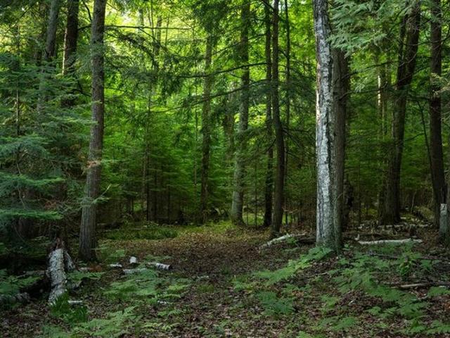 Land for sale in Fish Creek, Wisconsin