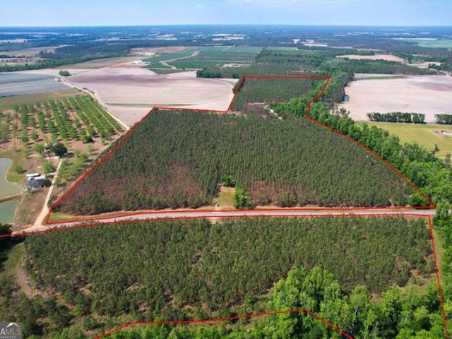 Land for sale in Baxley, Georgia