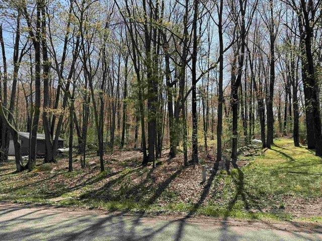 Land for sale in Iola, Wisconsin