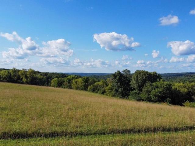 Land for sale in Ridgeway, Iowa County