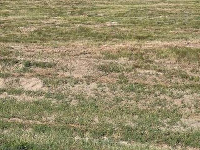 Land for sale in Wray, Colorado
