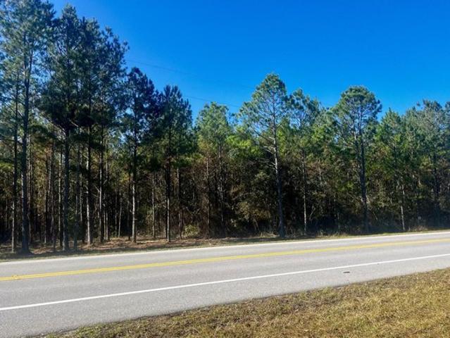 Land for sale in Walton, Florida