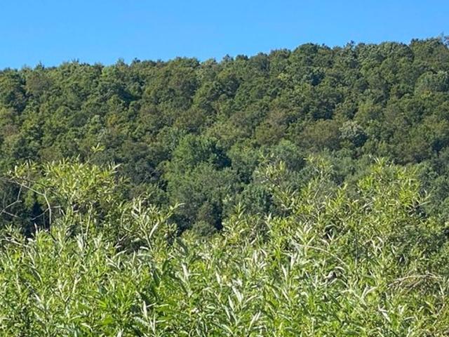 Land for sale in Meridale, New York