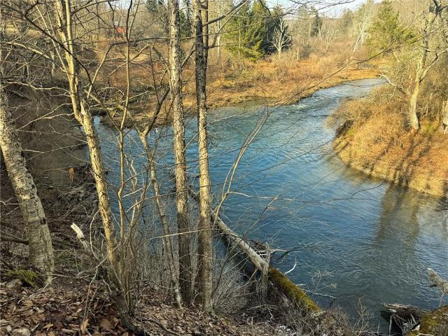 Land for sale in New York